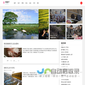 双管齐下网